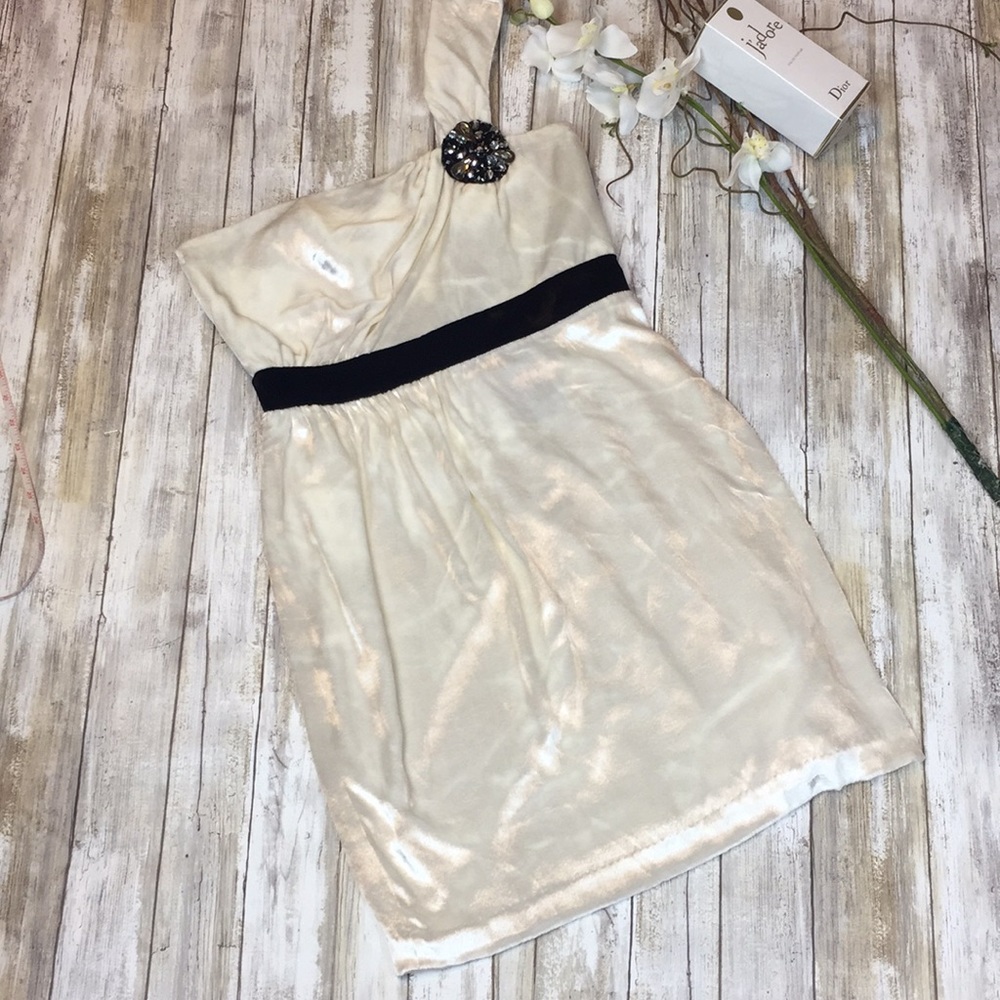 Hoaglund New York One-Shoulder Velvet Dress